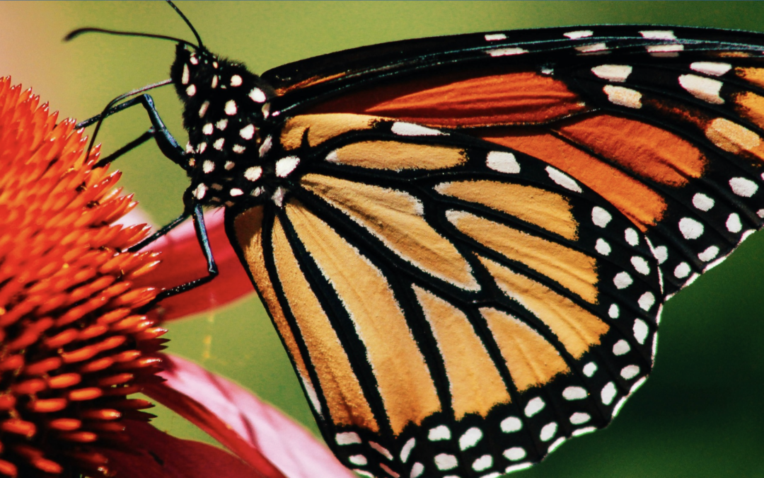 2025 Annual Impact Report Released